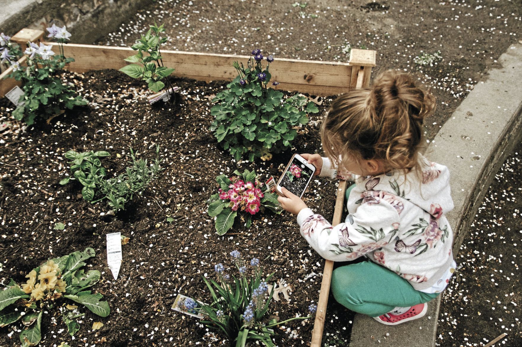 Gardening